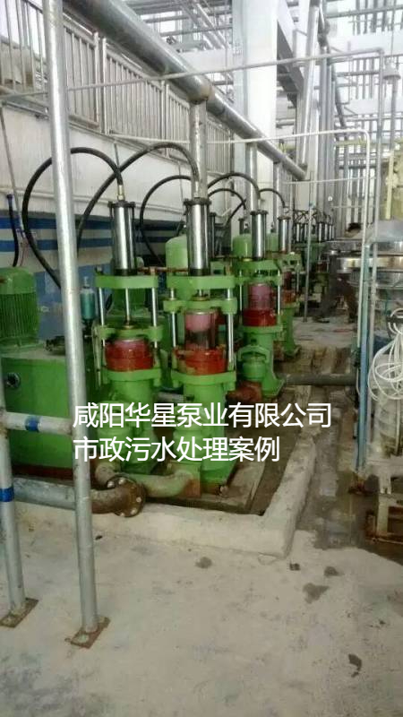 污水處理廠使用YBH200柱塞泥漿泵現(xiàn)場